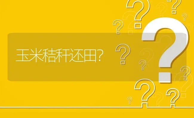 玉米秸秆还田? | 养殖问题解答