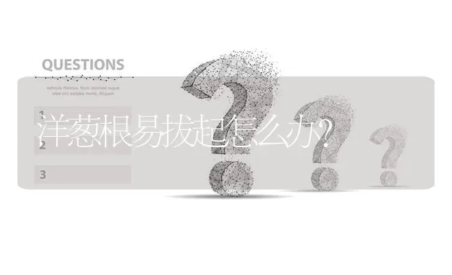 洋葱根易拔起怎么办? | 养殖问题解答
