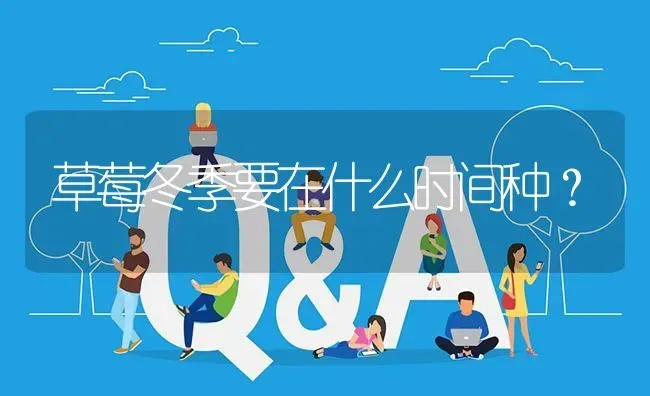 草莓冬季要在什么时间种? | 养殖问题解答