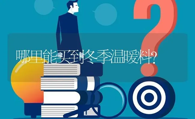 哪里能买到冬季温暖料? | 养殖问题解答