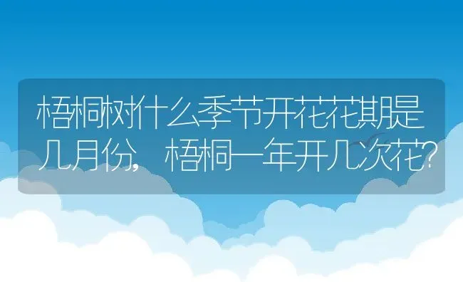 梧桐树什么季节开花花期是几月份,梧桐一年开几次花？ | 养殖常见问题