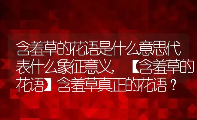 含羞草的花语是什么意思代表什么象征意义,【含羞草的花语】含羞草真正的花语？ | 养殖常见问题
