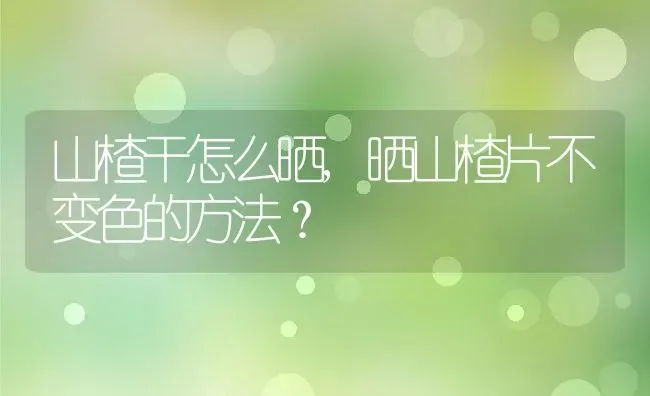 山楂干怎么晒,晒山楂片不变色的方法？ | 养殖常见问题