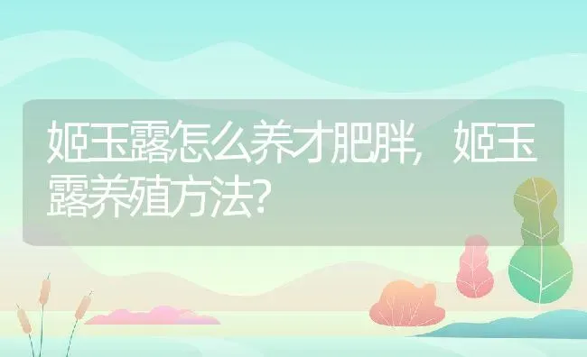 白掌适合放客厅吗放客厅什么位置好,十种最旺客厅的树？ | 养殖常见问题