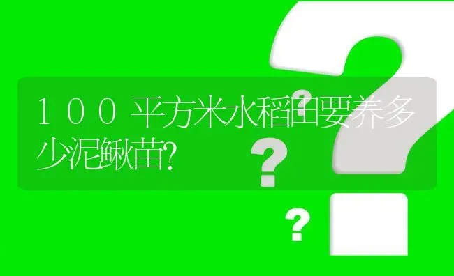 100平方米水稻田要养多少泥鳅苗? | 养殖问题解答