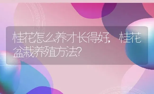桂花怎么养才长得好,桂花盆栽养殖方法？ | 养殖常见问题
