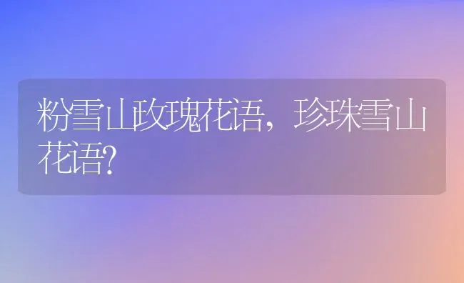 粉雪山玫瑰花语,珍珠雪山花语？ | 养殖常见问题
