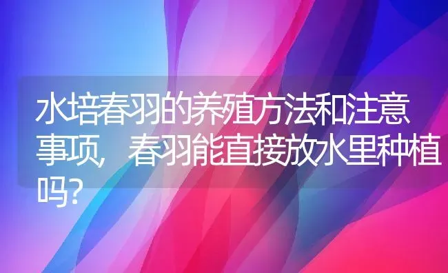 水培春羽的养殖方法和注意事项,春羽能直接放水里种植吗？ | 养殖常见问题