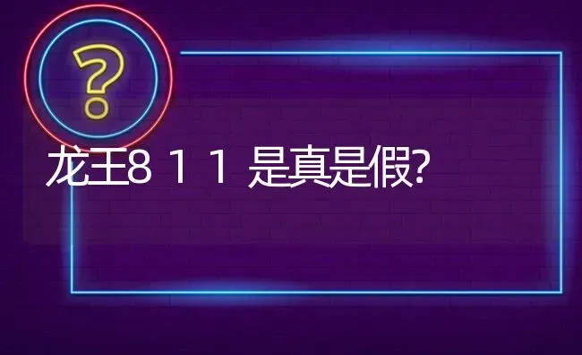 龙王811是真是假? | 养殖问题解答