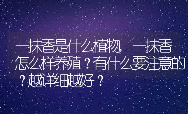 一抹香是什么植物,一抹香怎么样养殖？有什么要注意的？越详细越好？ | 养殖常见问题