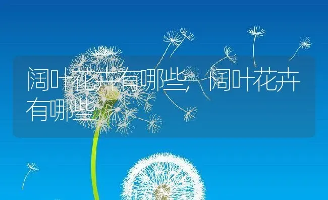 阔叶花卉有哪些,阔叶花卉有哪些 | 养殖常见问题