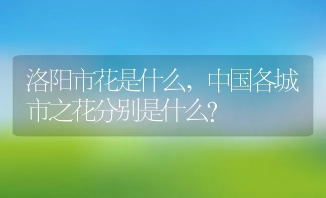 洛阳市花是什么,中国各城市之花分别是什么？ | 养殖常见问题