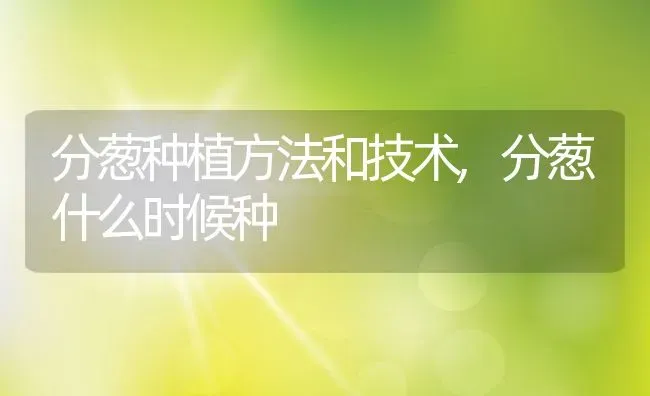 爬地矮珍珠怎么种,爬地矮珍珠怎么种 | 养殖常见问题