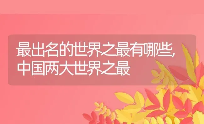 最出名的世界之最有哪些,中国两大世界之最 | 养殖常见问题