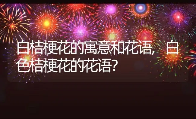 白桔梗花的寓意和花语,白色桔梗花的花语？ | 养殖常见问题