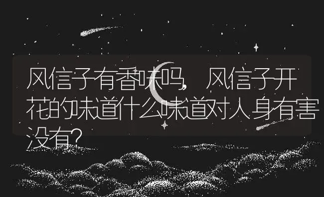 风信子有香味吗,风信子开花的味道什么味道对人身有害没有？ | 养殖常见问题