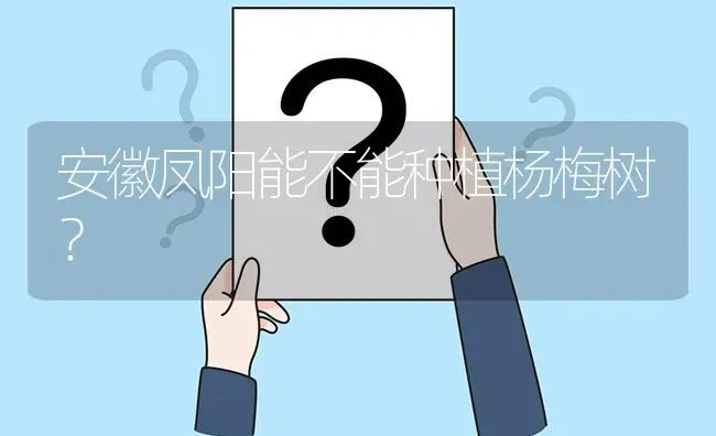 安徽凤阳能不能种植杨梅树? | 养殖问题解答