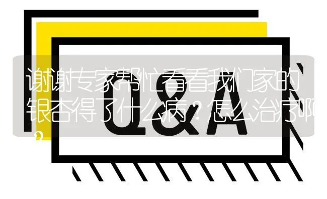 谢谢专家帮忙看看我们家的银杏得了什么病?怎么治疗啊? | 养殖问题解答