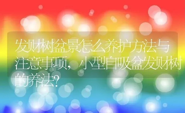 百合花在室内养有毒吗适合养内养殖吗,百合花放在客厅有毒么？ | 养殖常见问题