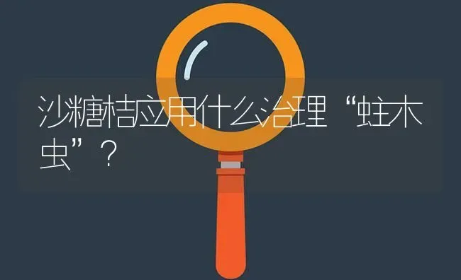 沙糖桔应用什么治理“蛀木虫”? | 养殖问题解答