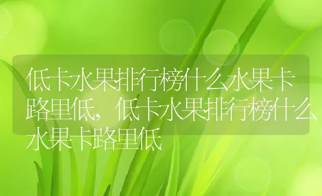 低卡水果排行榜什么水果卡路里低,低卡水果排行榜什么水果卡路里低 | 养殖常见问题