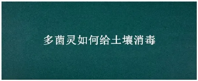 多菌灵如何给土壤消毒 | 农业问题
