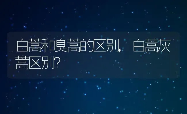 白蒿和臭蒿的区别,白蒿灰蒿区别？ | 养殖常见问题