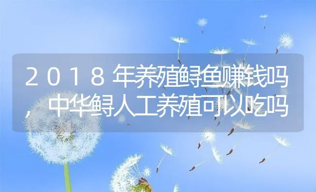 2018年养殖鲟鱼赚钱吗,中华鲟人工养殖可以吃吗 | 养殖常见问题