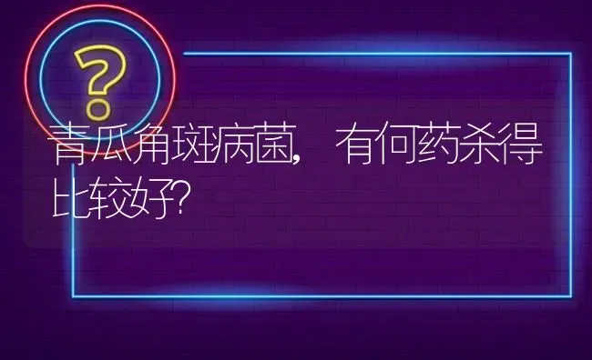 青瓜角斑病菌,有何药杀得比较好? | 养殖问题解答