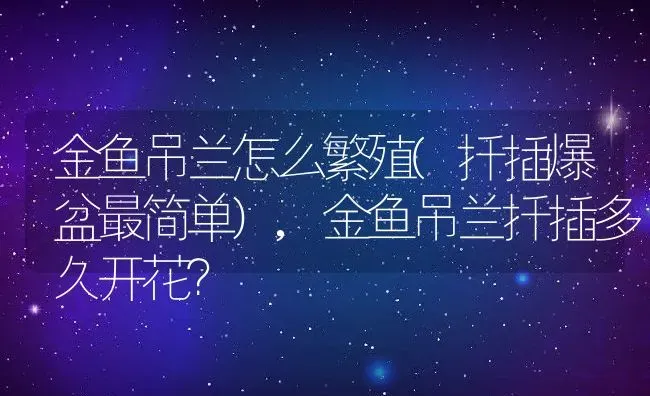 金鱼吊兰怎么繁殖(扦插爆盆最简单),金鱼吊兰扦插多久开花？ | 养殖常见问题