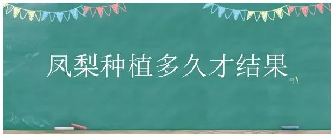 凤梨种植多久才结果 | 农业答疑