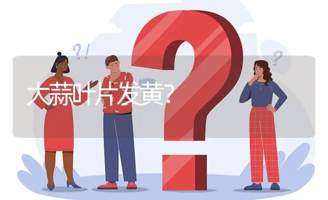 大蒜叶片发黄? | 养殖问题解答