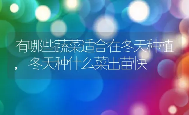 有哪些蔬菜适合在冬天种植,冬天种什么菜出苗快 | 养殖常见问题