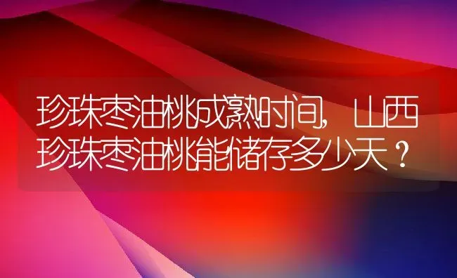 珍珠枣油桃成熟时间,山西珍珠枣油桃能储存多少天？ | 养殖常见问题