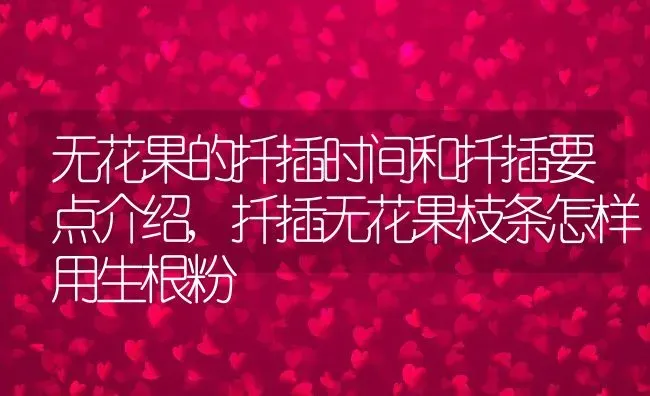 无花果的扦插时间和扦插要点介绍,扦插无花果枝条怎样用生根粉 | 养殖常见问题