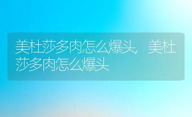 美杜莎多肉怎么爆头,美杜莎多肉怎么爆头 | 养殖常见问题