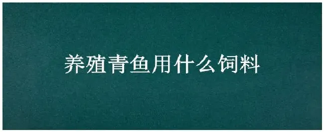 养殖青鱼用什么饲料 | 科普知识