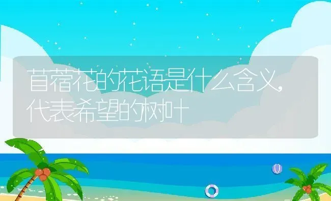 苜蓿花的花语是什么含义,代表希望的树叶 | 养殖常见问题