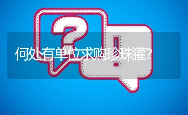 何处有单位求购珍珠獾? | 养殖问题解答