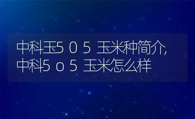 中科玉505玉米种简介,中科5o5玉米怎么样 | 养殖常见问题
