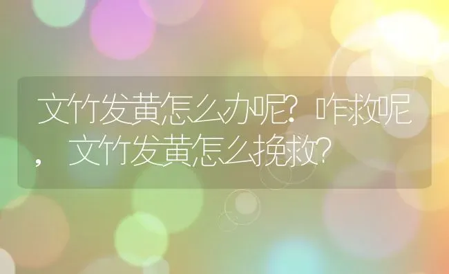 文竹发黄怎么办呢?咋救呢,文竹发黄怎么挽救？ | 养殖常见问题