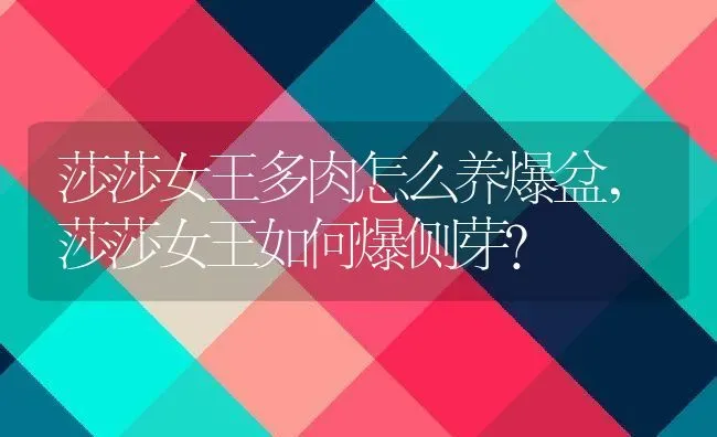 莎莎女王多肉怎么养爆盆,莎莎女王如何爆侧芽？ | 养殖常见问题