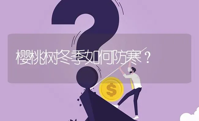 樱桃树冬季如何防寒? | 养殖问题解答