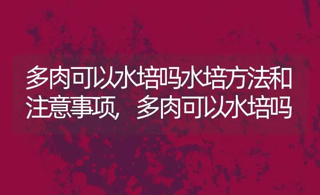 多肉可以水培吗水培方法和注意事项,多肉可以水培吗 | 养殖常见问题