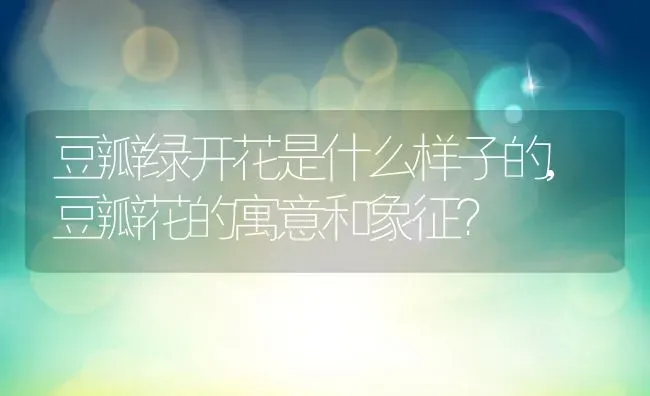 豆瓣绿开花是什么样子的,豆瓣花的寓意和象征？ | 养殖常见问题