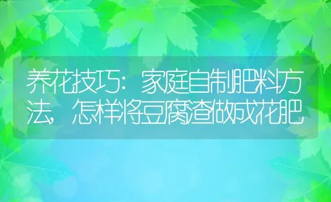 养花技巧:家庭自制肥料方法,怎样将豆腐渣做成花肥 | 养殖常见问题