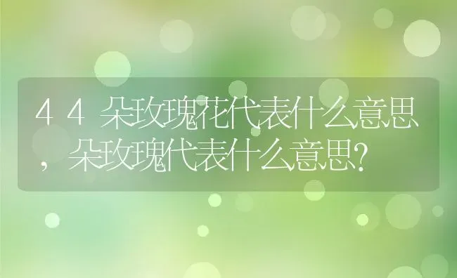 44朵玫瑰花代表什么意思,朵玫瑰代表什么意思？ | 养殖常见问题