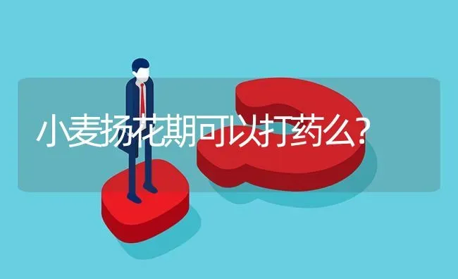 小麦扬花期可以打药么? | 养殖问题解答