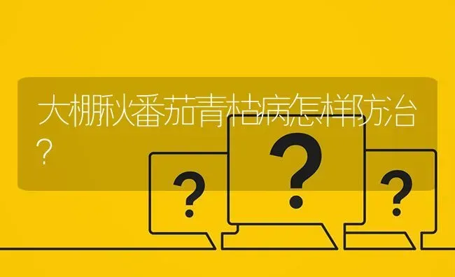 大棚秋番茄青枯病怎样防治? | 养殖问题解答