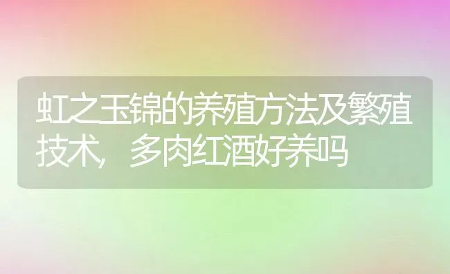 虹之玉锦的养殖方法及繁殖技术,多肉红酒好养吗 | 养殖常见问题